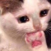 bro it is not what it is