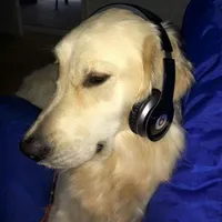 original sound - headlycx