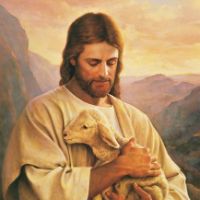 oryginalny dźwięk – Radość Życia