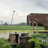 suara asli - sinematic