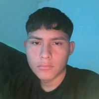 robino_288