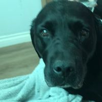 SIDS DANCE TY FOR USING THE SOUND OMG