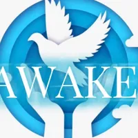 original sound - awake0013