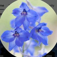 original sound - A Tranquil Time