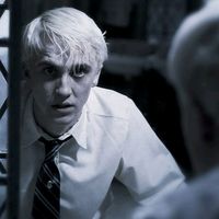 d_malfoy__