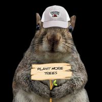missbonniemcsquirrely