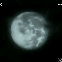 cecisx.._