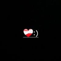 pasel1_bi3n
