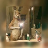 camilotorresolivares