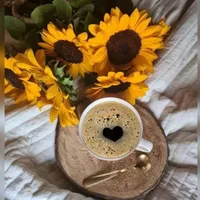 original sound - anaid0423