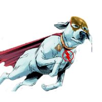 krypto_reverso
