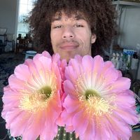 afrogardener_leee
