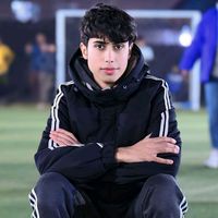 الصوت الأصلي
