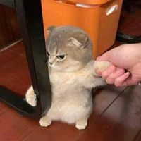 nhạc nền - Bé khoẻ bé ngoan ♥️