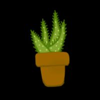aloe_my_friend