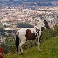 De la nada la gente usa mi audio
