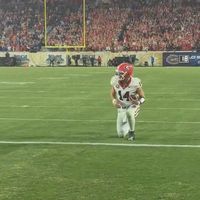 uga.tapez