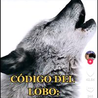 jchura369