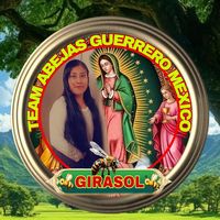 girasolmarcelo