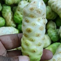 sobacagro