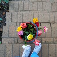 womanofgodredeemthetime