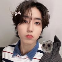 Apoyen a stray kids en kingdom porfis