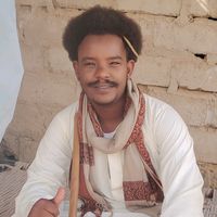 الصوت الأصلي