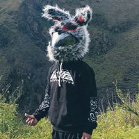 tu_conejitobikrnelson_27