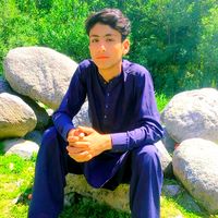 habibhussain70