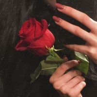 queen_75478