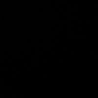 22as0875
