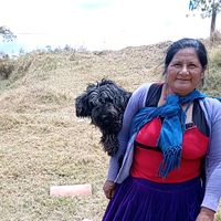 mamita.azu