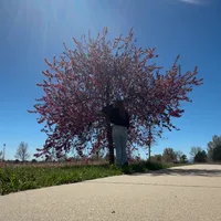 original sound - ilovemybestfriends1231