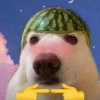 comediagemtv