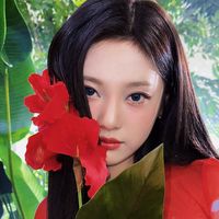 vivianingyizhuo