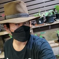 dem7528