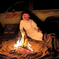 الصوت الأصلي