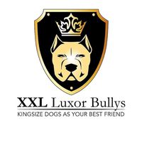 xxlluxorbullys