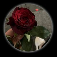 daya._097