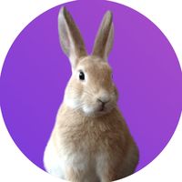 min.cocoa