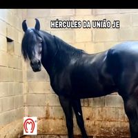 rafaeljardim2741