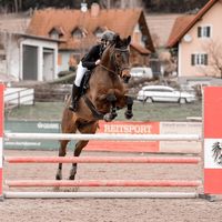 michellef_showjumping