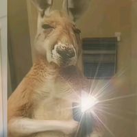 benja_m500