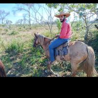 alanoliveira196