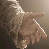 ovelha_de_cristo2431