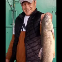 original sound - aziz08taraz