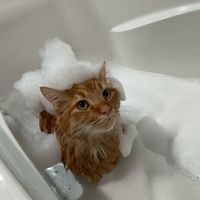 WHŸ ŸÓÜ ÀŁWÂŸŚ ÄÇT ŠÖ ŚÈRĮÒÜŚ