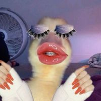 0_alvana_4