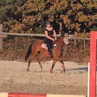 german.equestrian.group