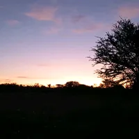 original sound - bebecira6